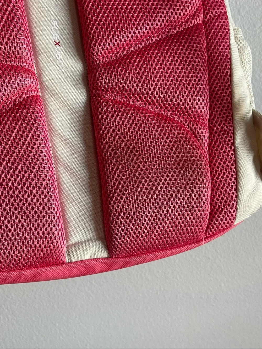The North Face Cream and Pink Daypack Backpack